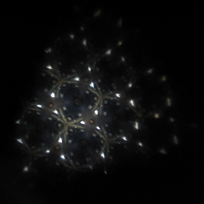 090321