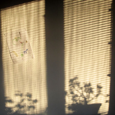 120108